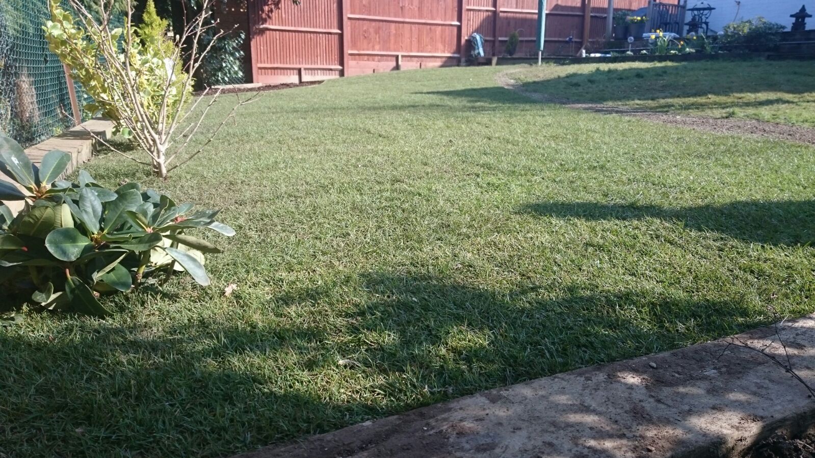 Turfing in Manning's Heath